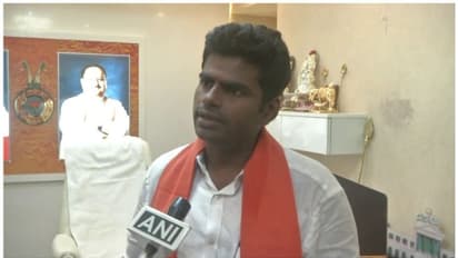 എഐഎഡിഎംകെയ്ക്കും ബിജെപിക്കും ഇടയിൽ പ്രശ്നങ്ങളില്ല; അണ്ണാദുരൈയെ ആക്ഷേപിച്ചിട്ടില്ല: കെ.അണ്ണാമലൈ