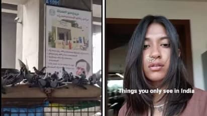 'ഇന്ത്യയിൽ മാത്രം നിങ്ങൾക്ക് കാണാനാവുന്ന കാഴ്ച'; വീഡിയോ കണ്ടത് 1.2 മില്ല്യൺ പേർ