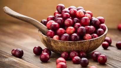 ലോലോലിക്ക കഴിക്കാന് ഇഷ്ടമാണോ? അറിയാം ഇക്കാര്യങ്ങള്...