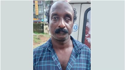 ശബ്‍ദം ഉണ്ടാക്കി പെൺകുട്ടിയെ വിളിച്ചു, തിരിഞ്ഞപ്പോൾ ഉടുതുണി ഉയർത്തിക്കാട്ടി 46കാരൻ; രണ്ട് വർഷം തടവ് ശിക്ഷ