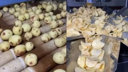 അപ്പോൾ ചിപ്‍സുണ്ടാക്കുന്നത് ഇങ്ങനെയാണോ? ഫാക്ടറിയിൽ നിന്നുള്ള വീഡിയോ!!!