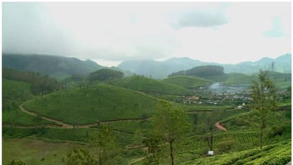 മിച്ചഭൂമി കേസിൽ പുരോഗതി; 3 മാസത്തിനകം സര്ക്കാര് തിരിച്ച് പിടിച്ചത് 311 ഏക്കര് ഭൂമി