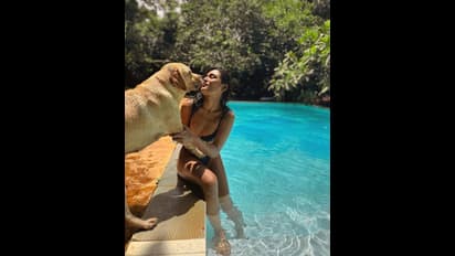 బికినీ ధరించి స్విమ్మింగ్ పూల్ ని వేడెక్కిస్తున్న షాలిని పాండే, పెట్ తో కలసి జలకాలాటలు.. క్రేజీ పిక్స్ వైరల్ 