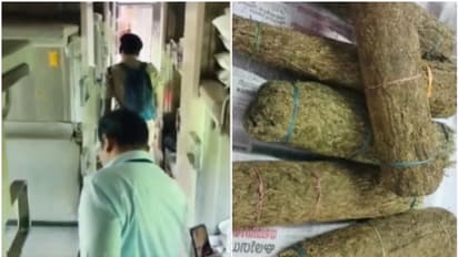 'ഒറ്റ നോട്ടത്തില് ബൊക്കെ, മണത്ത് നോക്കി റോക്കി'; തൃശൂരിലെ ലഹരിസംഘത്തെ പിടികൂടിയത് ഇങ്ങനെ