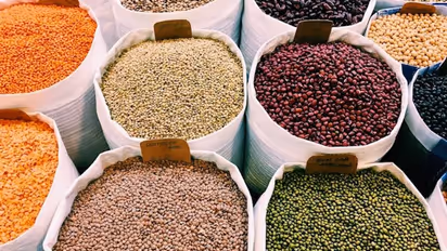 Health Bounty: 5 phenomenal advantages of relishing Lentils in your Daily Diet