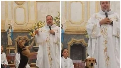 തെരുവ് നായ്ക്കളെ ദത്തെടുക്കാന്‍ പള്ളി വാതില്‍ തുറന്ന് കൊടുത്ത് ബ്രസീൽ പുരോഹിതൻ 