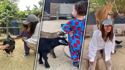 Where is Priyanka Chopra? Will PeeCee attend Parineeti Chopra, Raghav Chadha's wedding in Udaipur? WATCH