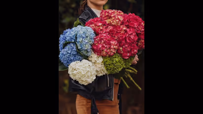 ಮನೆಯಲ್ಲಿ ಮರೆತೂ ಈ ಹೂವುಗಳನ್ನು ಇಡಬೇಡಿ..!