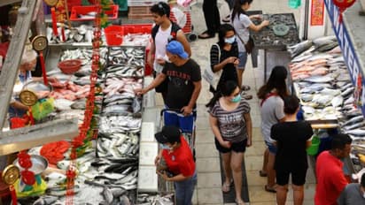 சிங்கப்பூர்.. 24,000 ரூபாய் கொடுத்து மீன்கள் வாங்குனது இதுக்கு தானா? - காண்போரை அசரவைத்த அதிசய மனிதர்!