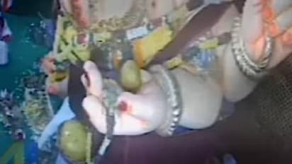 ഗണേശ ചതുർത്ഥി ആഘോഷത്തിനിടെ പന്തലിൽ നിന്ന് 11 കിലോയുടെ ലഡു മോഷ്ടിച്ചു, ദൃശ്യങ്ങൾ സിസിടിവിയിൽ 