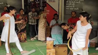 ഈ വീഡിയോ പാമ്പിനെ പേടിയുള്ളവർക്ക് പറഞ്ഞതല്ല!