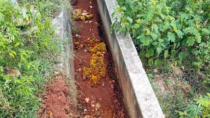 ಗದಗ: ವಿಸರ್ಜನೆಯಾದ ಗಣೇಶ ಮೂರ್ತಿ ಚರಂಡಿಯಲ್ಲಿ..!