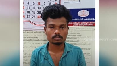 ഫേസ്ബുക്കിലൂടെ പരിചയപ്പെട്ട 17കാരിയെ തട്ടിക്കൊണ്ടു പോയി പീഡിപ്പിച്ചു, ദൃശ്യങ്ങൾ പ്രചരിപ്പിച്ചു; പ്രതി പിടിയിൽ