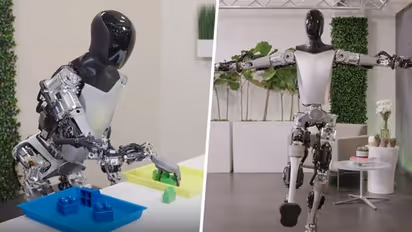 WATCH: Tesla's humanoid robot performs yoga, CEO Elon Musk calls it 'progress'
