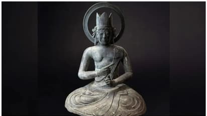  114 കിലോ ഭാരം, 12.5 കോടി രൂപ വില; യുഎസ് ഗാലറിയില്‍ നിന്നും വെങ്കല ബുദ്ധ പ്രതിമ മോഷണം പോയി 