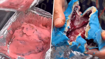 Controversial! Samosas stuffed with strawberry and blueberry shock food lovers; 'RIP' say netizens - WATCH