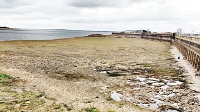 Cauvery row: CWRC orders release of 2600 cusecs to Tamil Nadu amid Karnataka drought concerns