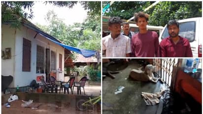 കല്ലമ്പലത്തും നായ്ക്കളെ മറയാക്കി കഞ്ചാവ് കച്ചവടം; വളര്‍ത്തിയത് പ്രായാധിക്യമുളള പട്ടികളെ, സംഘം പിടിയില്‍