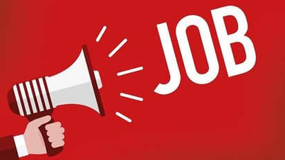 job in up government