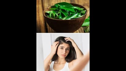 ಕರಿಬೇವಿನ ಆರೋಗ್ಯ ಪ್ರಯೋಜನಗಳು, ಸಕ್ಕರೆ ಕಾಯಿಲೆ, ಜೀರ್ಣಕ್ರಿಯೆ ಜೊತೆಗೆ ಮತ್ತಷ್ಟು