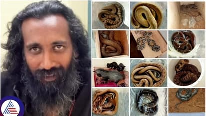 ಮೈಸೂರು ಮನೆಯಲ್ಲಿ 9 ಬಗೆಯ ಹಾವುಗಳ ಸಾಕಣೆ: ದಾಳಿ ಬೆನ್ನಲ್ಲೇ ಬೆಚ್ಚಿಬಿದ್ದ ನೆರೆಹೊರೆಯವರು