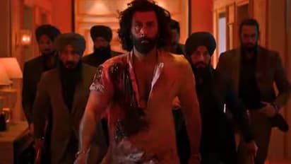 యానిమల్ మూవీ వల్ల కోట్లు నష్టపోయిన రణ్ బీర్ కపూర్, ఎలాంగంటే..?