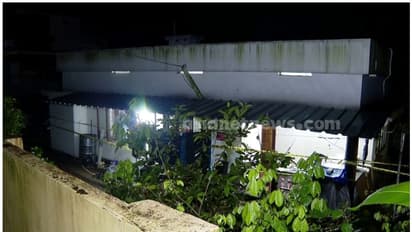 ആലുവ എയർഗൺ കൊലപാതകം; രണ്ട് സഹോദരങ്ങൾക്കും മാനസിക പ്രശ്നമുണ്ടെന്ന് അയൽവാസികൾ