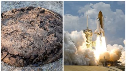 ചാണകത്തില്‍ നിന്നും ഇനി റോക്കറ്റുകള്‍ കുതിക്കും, അമ്പരപ്പിക്കും കണ്ടെത്തല്‍!