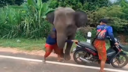 ಬಿಟ್ಟು ಹೋಗುತ್ತಿದ್ದ ಒಡೆಯನ ಬೈಕ್ ಏರದಂತೆ ತಡೆದ ಆನೆ: ಭಾವುಕ ವೀಡಿಯೋ ವೈರಲ್‌