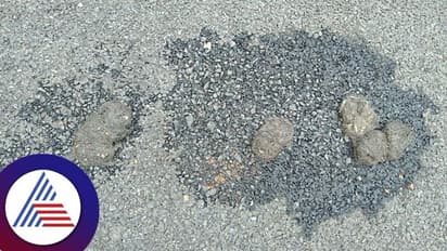 ಬಾಳಗಾರ ಭಾಗದಲ್ಲಿ ಚಿರತೆಗಳ ಓಡಾಟ: ಜಮೀನುಗಳಿಗೆ ಹೋಗಲು ರೈತರು ಆತಂಕ