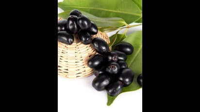 இந்த 1 பொடியை சுடு தண்ணீரில் கலந்து குடிங்க.. சர்க்கரை நோய்க்கு குட் பை சொல்லுங்க!!