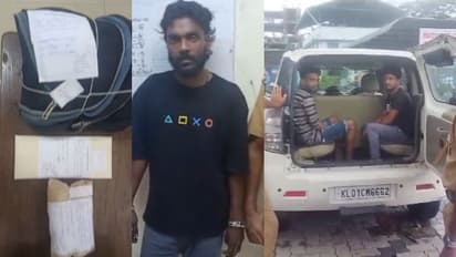 കോട്ടയത്ത് 1.25 കിലോയുമായി മലയാളി, തലയോലപ്പറമ്പ് 1.5 കിലോയുമായി അതിഥി തൊഴിലാളികൾ, വൻ കഞ്ചാവ് വേട്ട