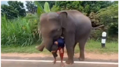 ആനക്കാരനെ പോകാന് അനുവദിക്കാതെ കെട്ടിപ്പിടിക്കുന്ന കുട്ടിയാനയുടെ വീഡിയോ; അതിശയപ്പെടുത്തും !