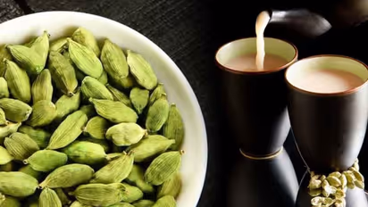 ദിവസവും ഏലയ്ക്കയിട്ട ചായ കൂടിക്കൂ; ഈ രോഗങ്ങളെ തടയാം...