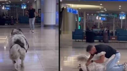 ഒരു വര്ഷത്തിന് ശേഷം പെറ്റ് ഡാഡിനെ കാണുന്ന നായയുടെ സന്തോഷം; കണ്ണ് നിറഞ്ഞുപോകും ഈ വീഡിയോ കണ്ടാല്