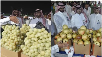 സൗദി അറേബ്യയില് മുന്തിരി, മാതളനാരങ്ങ ഫെസ്റ്റിവലിന് തുടക്കം