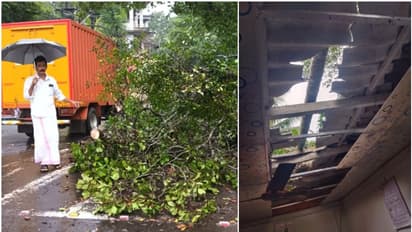 കോട്ടയത്ത് ശക്തമായ കാറ്റും മഴയും; വ്യാപക നാശനഷ്ടം, മരം വീണ് ഗതാഗത തടസം