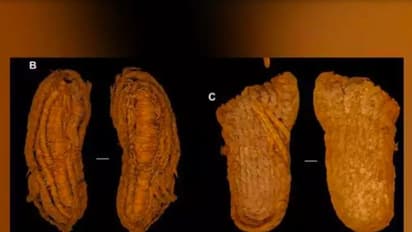 ಗುಹೆಯೊಂದರಲ್ಲಿ 6 ಸಾವಿರ ವರ್ಷಗಳಷ್ಟು ಹಳೆಯ ಶೂ ಪತ್ತೆ