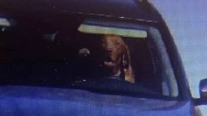 കാർ ഓടിക്കുന്നത് നായ? ഡ്രൈവിം​ഗ് സീറ്റിലിരിക്കുന്ന നായയുടെ ദൃശ്യം പതിഞ്ഞത് സ്പീഡ് ക്യാമറയിൽ