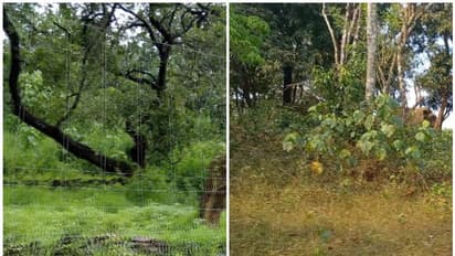 10 കീ.മി മതിൽ, ചെലവ് ഒന്നും രണ്ടുമല്ല 53 കോടി; നാട്ടുകാരുടെ ആശങ്ക ഒഴിയുമോയെന്നത് മാത്രം ചോദ്യം!