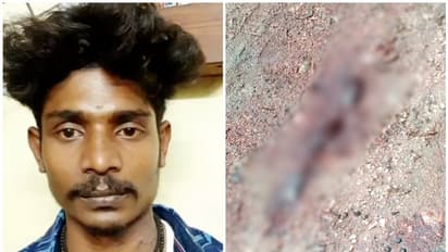 സുഹൃത്തുക്കൾ തമ്മിലുള്ള തർക്കം പരിഹരിക്കാൻ ചർച്ച; അരിവാളെടുത്ത് തലയ്ക്ക് വെട്ടി യുവാവിനെ കൊന്നു, അറസ്റ്റ്