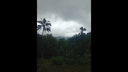 Kerala News Highlights: Heavy rains to continue in Kerala; Yellow alert in 2 districts