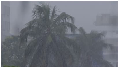 കനത്ത മഴയിൽ വീടിന് മുകളിലേക്ക് പാറക്കല്ല് ഇടിഞ്ഞുവീണു, പത്തനംതിട്ടയിൽ വീട്ടമ്മക്ക് ദാരുണാന്ത്യം