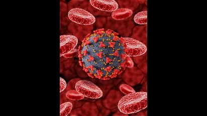 രാജ്യത്തെ 89 ശതമാനം കൊവിഡ് കേസുകളും കേരളത്തിലെന്ന് കണക്ക്; ജെഎൻ1 ആശങ്കയുണർത്തുന്നത്, ജാഗ്രത വേണമെന്ന് വിദഗ്ധർ