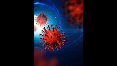 நோய் X என்பது என்ன? அதன் பரவல் குறித்து விஞ்ஞானிகள் ஏன் கவலைப்படுகின்றனர்?