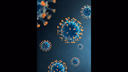 Karnataka Govt mandates mask policy for citizens above 60 amid COVID concerns