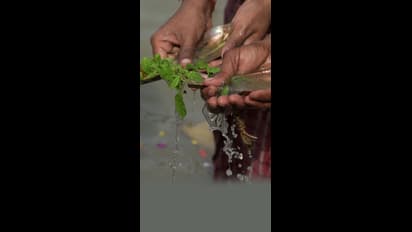 ಪಿತೃ ಪಕ್ಷದಲ್ಲಿ ಈ ಕೆಲಸ ಮಾಡ ಬೇಡಿ, ಜೀವನವೇ ಬರ್ಬಾದ್‌ 