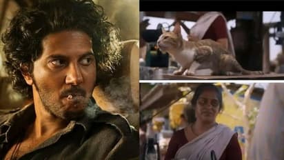 രാജുവിനെ കൊന്ന് പൂച്ചയെ രക്ഷിച്ച കാളിക്കുട്ടി; തെറിയും പരിഹാസവും, പ്രതികരിച്ച് സജിത മഠത്തിൽ