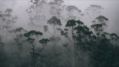 ರೈತರಿಗೆ ಶುಭಸುದ್ದಿ ಕೊಟ್ಟ ಹವಾಮಾನ ಇಲಾಖೆ: ರಾಜ್ಯದಲ್ಲಿ ಶೇ.50ರಷ್ಟು ಹಿಂಗಾರು ಮಳೆ ಸಂಭವ