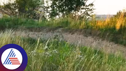  ಇದ್ರಲ್ಲಿ ಮೊಲ ಎಲ್ಲಿದೆ? ಟಿಕ್ ಟಿಕ್ ಒನ್… 8 ಸೆಕೆಂಡ್ ಇರೋದು ಬೇಗ ಹೇಳಿ, ನಿಮ್ಮ ವ್ಯಕ್ತಿತ್ವ ಚೆಕ್ ಮಾಡ್ಕೊಳ್ಳಿ